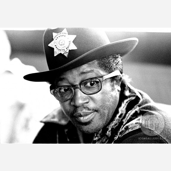 Bo Diddley by Gijsbert Hanekroot