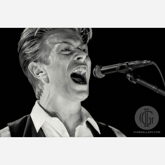 David Bowie by Rick McGinnis