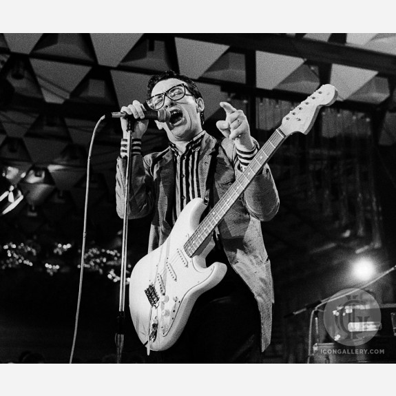 Elvis Costello by Andy Freeberg
