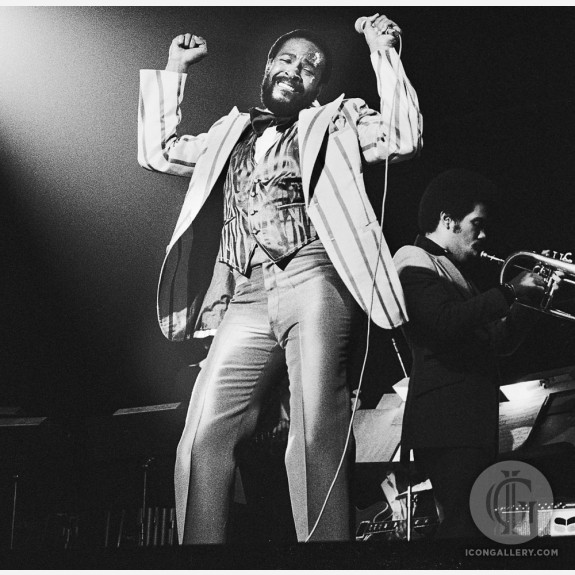 Marvin Gaye by Gijsbert Hanekroot