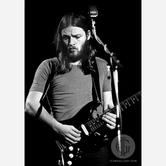 David Gilmour of Pink Floyd by Barrie Wentzell