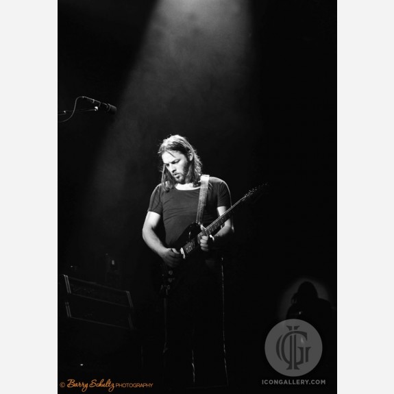 David Gilmour of Pink Floyd by Barry Schultz