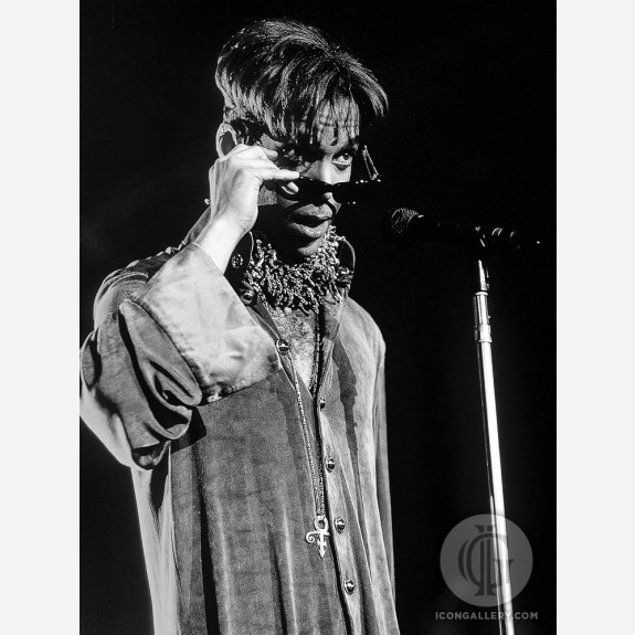 Prince by Ken Settle