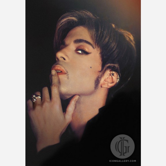 Prince by Steve Parke