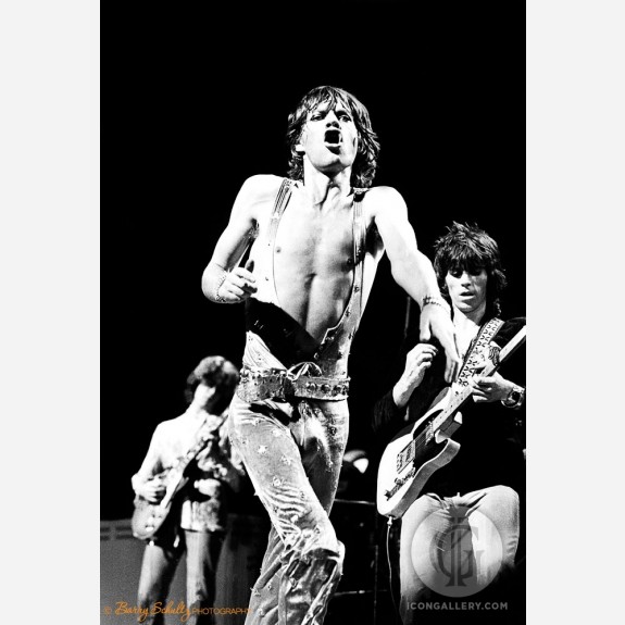 The Rolling Stones by Barry Schultz