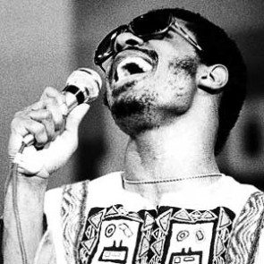 Stevie Wonder by Christian Rose