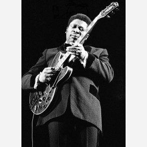 B.B. King by Ian Dickson