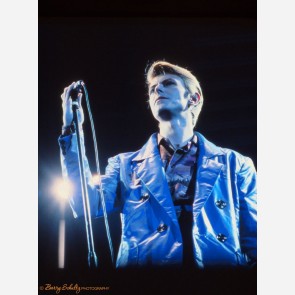 David Bowie by Barry Schultz