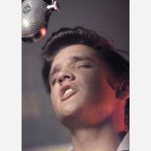 Elvis and the Birth of Rock and Roll by Alfred Wertheimer