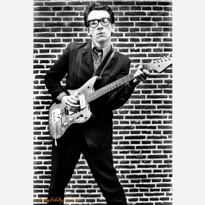 Elvis Costello by Barry Schultz