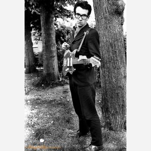 Elvis Costello by Barry Schultz