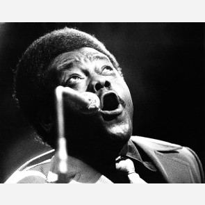 Fats Domino by Gijsbert Hanekroot