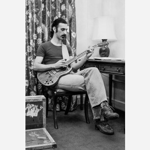 Frank Zappa by Steve Emberton