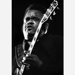 Freddie King by Christian Rose