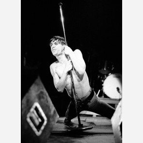 Iggy Pop by Ian Dickson