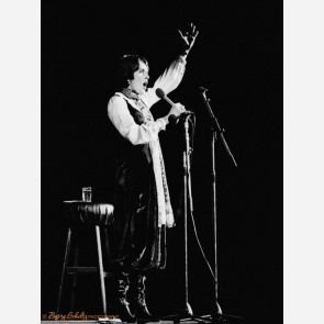 Joan Baez by Barry Schultz
