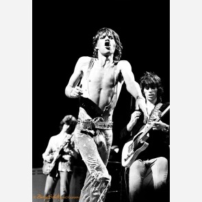 The Rolling Stones by Barry Schultz